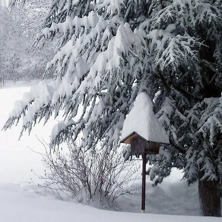 Vakantieboerderij Tamerburgerhof